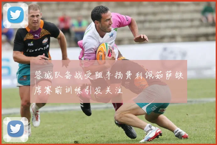 蓉城队备战受阻李扬费利佩茹萨缺席赛前训练引发关注