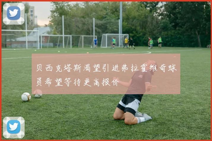 贝西克塔斯渴望引进弗拉霍维奇球员希望等待更高报价